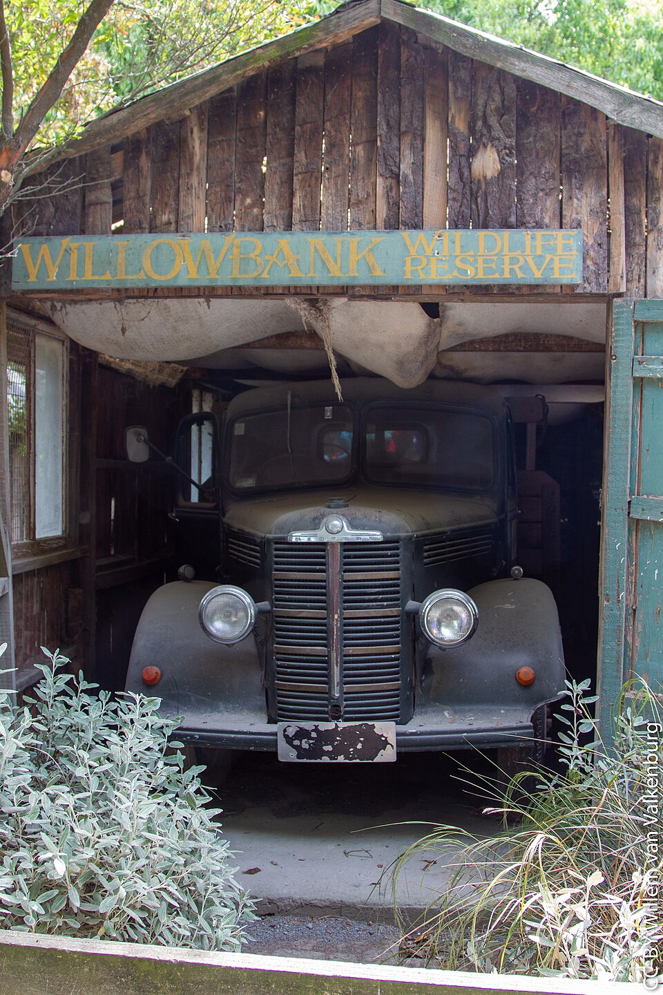 Willowbank Wildlife Reserve, Christchurch